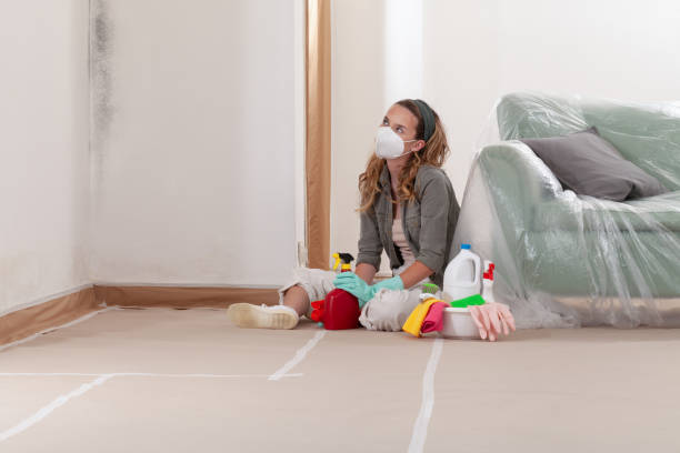 Reliable Commercial Mold Remediation contractor in Kersey, CO by WQB Mold Removal