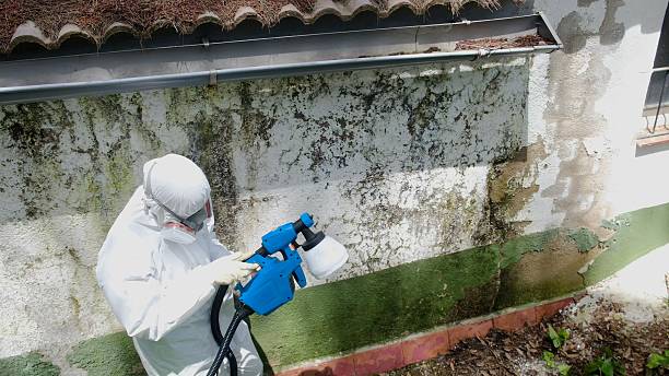Top rated local Commercial Mold Remediation specialists in Kersey, CO
